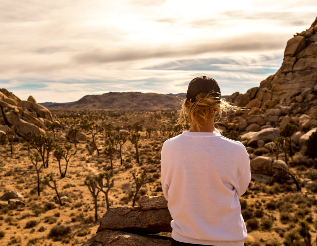 5 days trip to Palm springs and Joshua Tree National Park - Vacay Genie